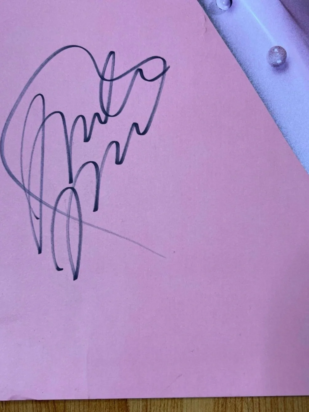 Melanie Martinez VIP Offical SIGNED